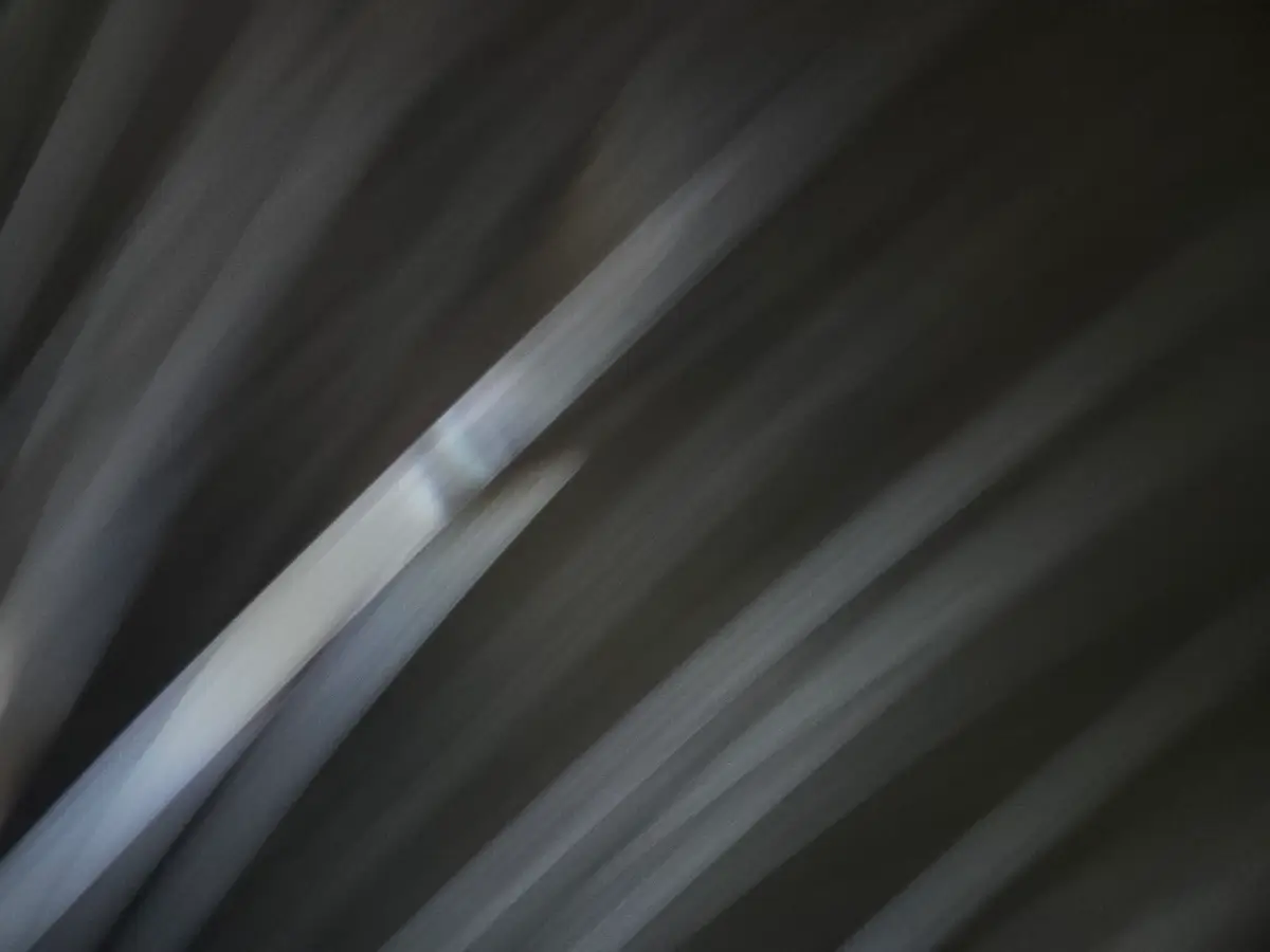 Lbl 20251014 055338