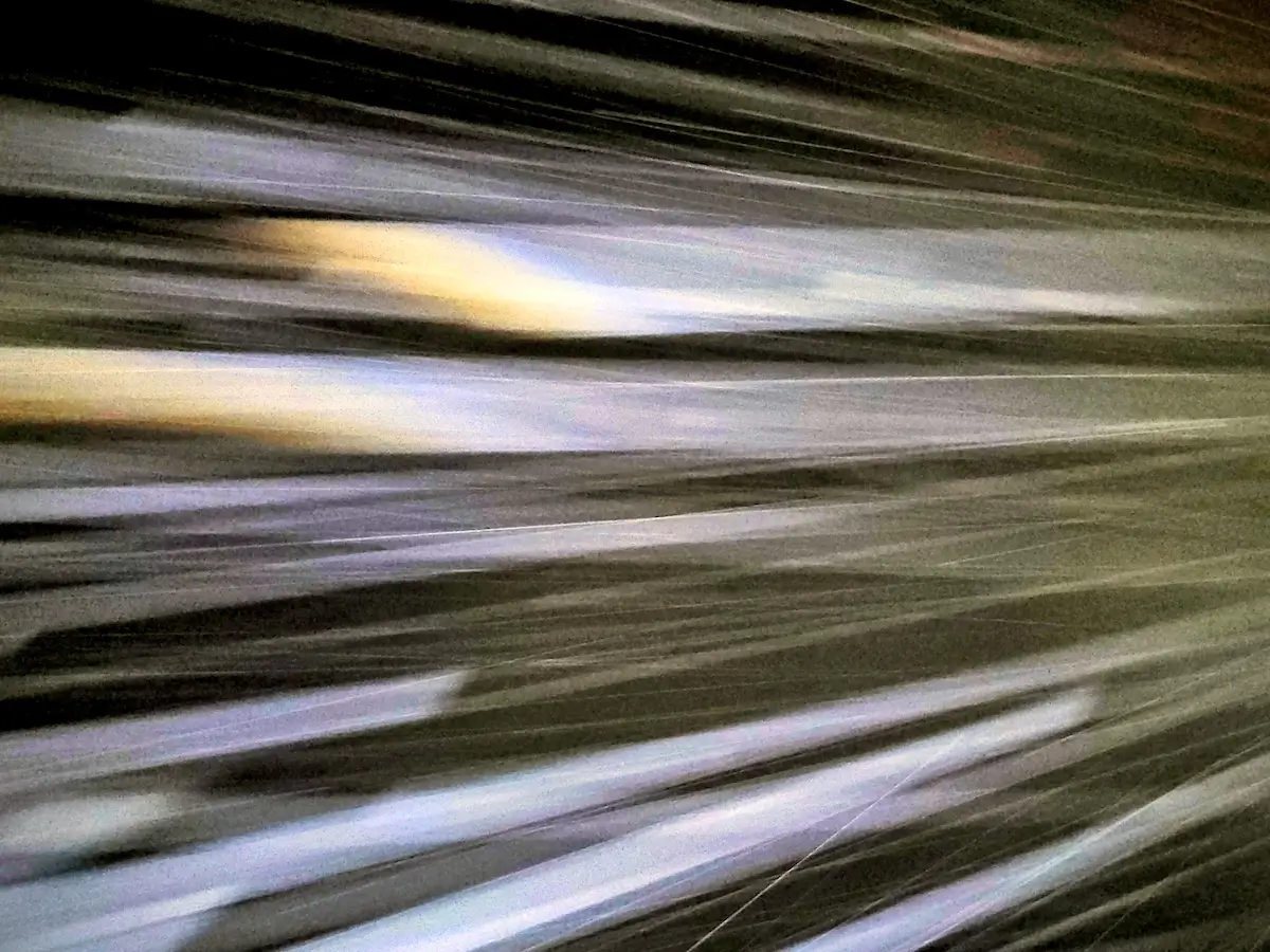 Lbl 20251014 060510~2