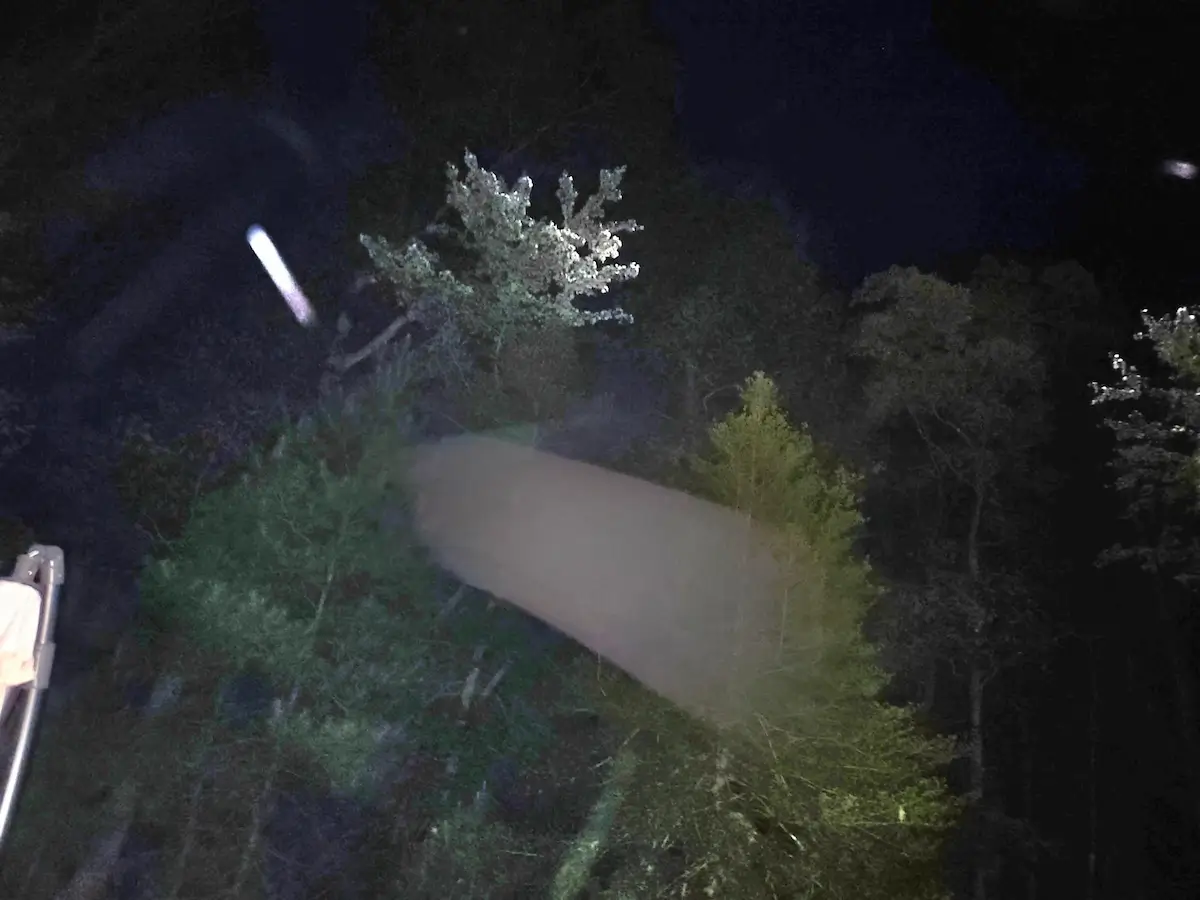 Lbl signal 2026 02 03 08 31 10 569